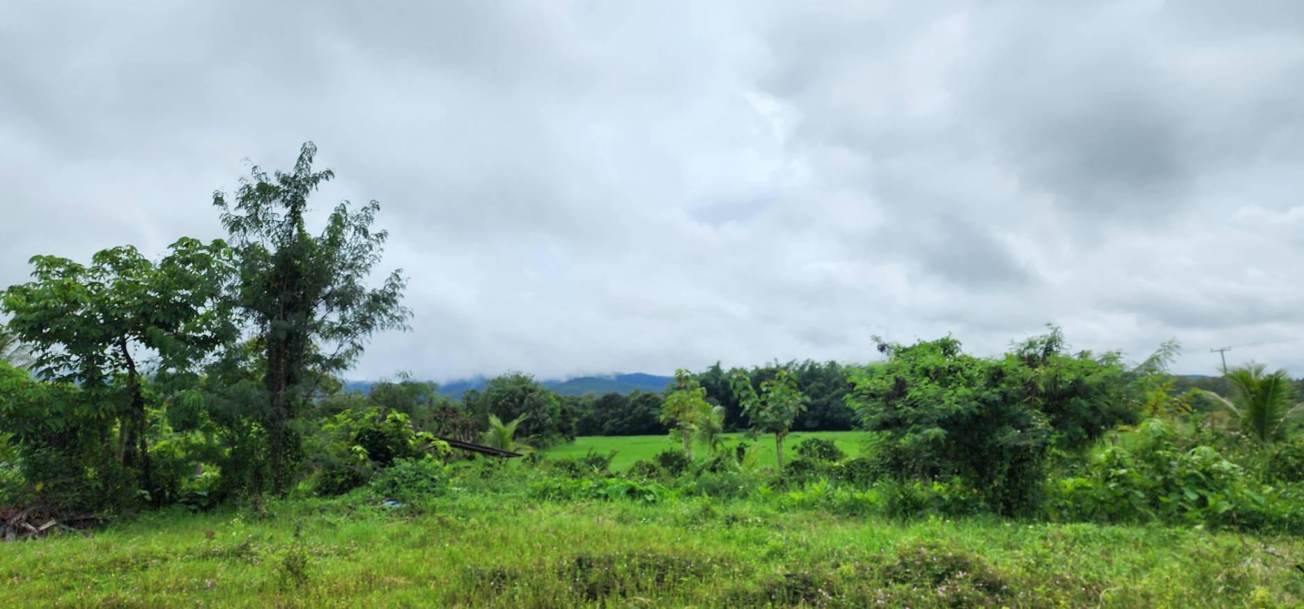 72 Rai of land for sale in Doi Saket-SHG-LS98