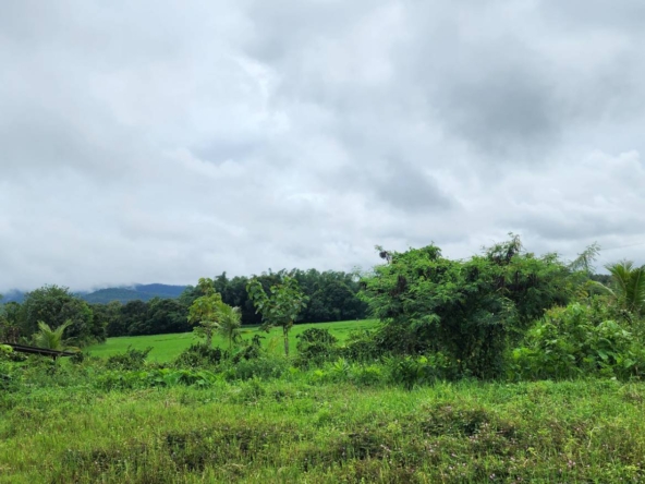 72 Rai of land for sale in Doi Saket-SHG-LS98