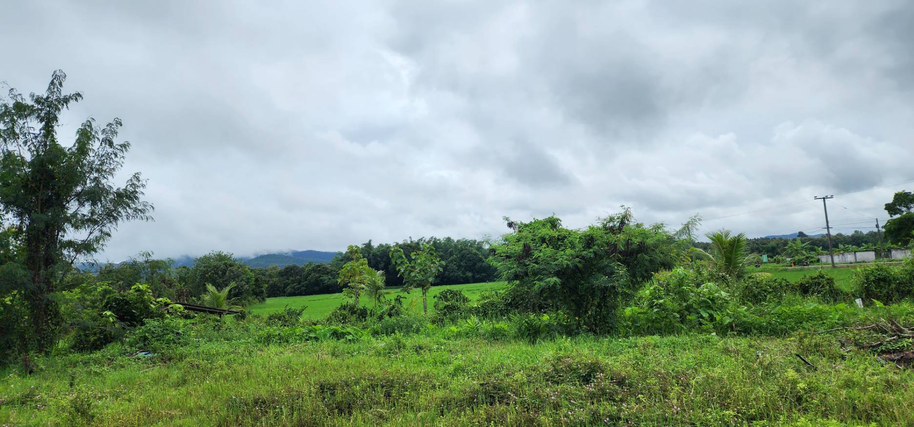 72 Rai of land for sale in Doi Saket-SHG-LS98