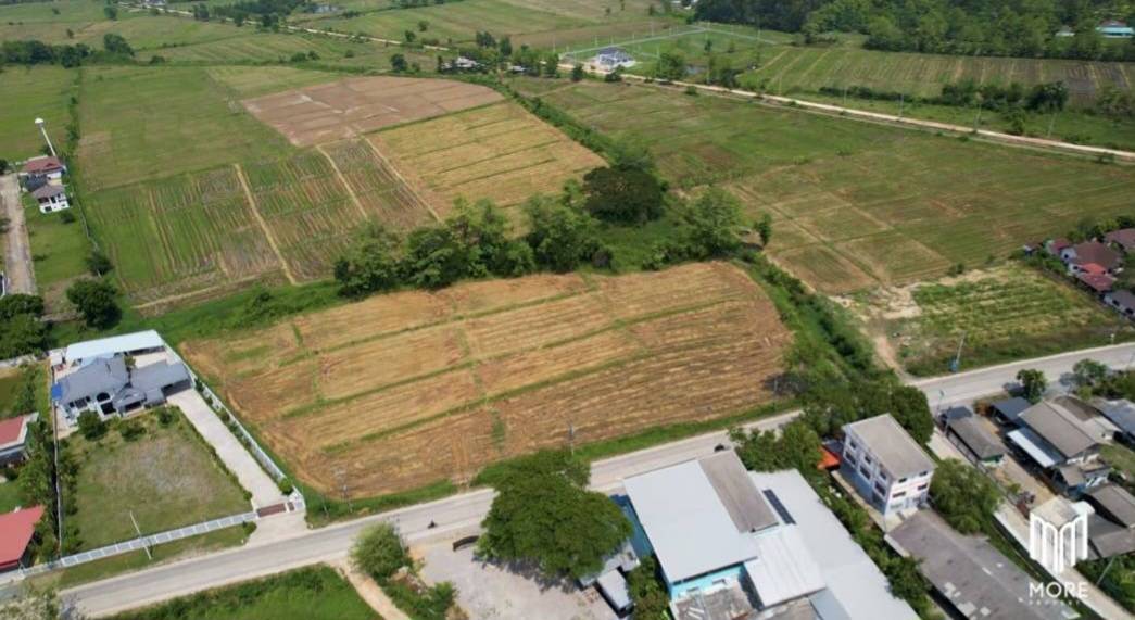 14-3-82 Rai of land for sale near San Kamphaeng-SHG-LS102