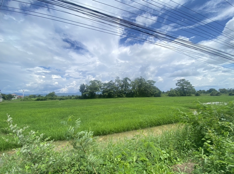 14-3-82 Rai of land for sale near San Kamphaeng-SHG-LS102