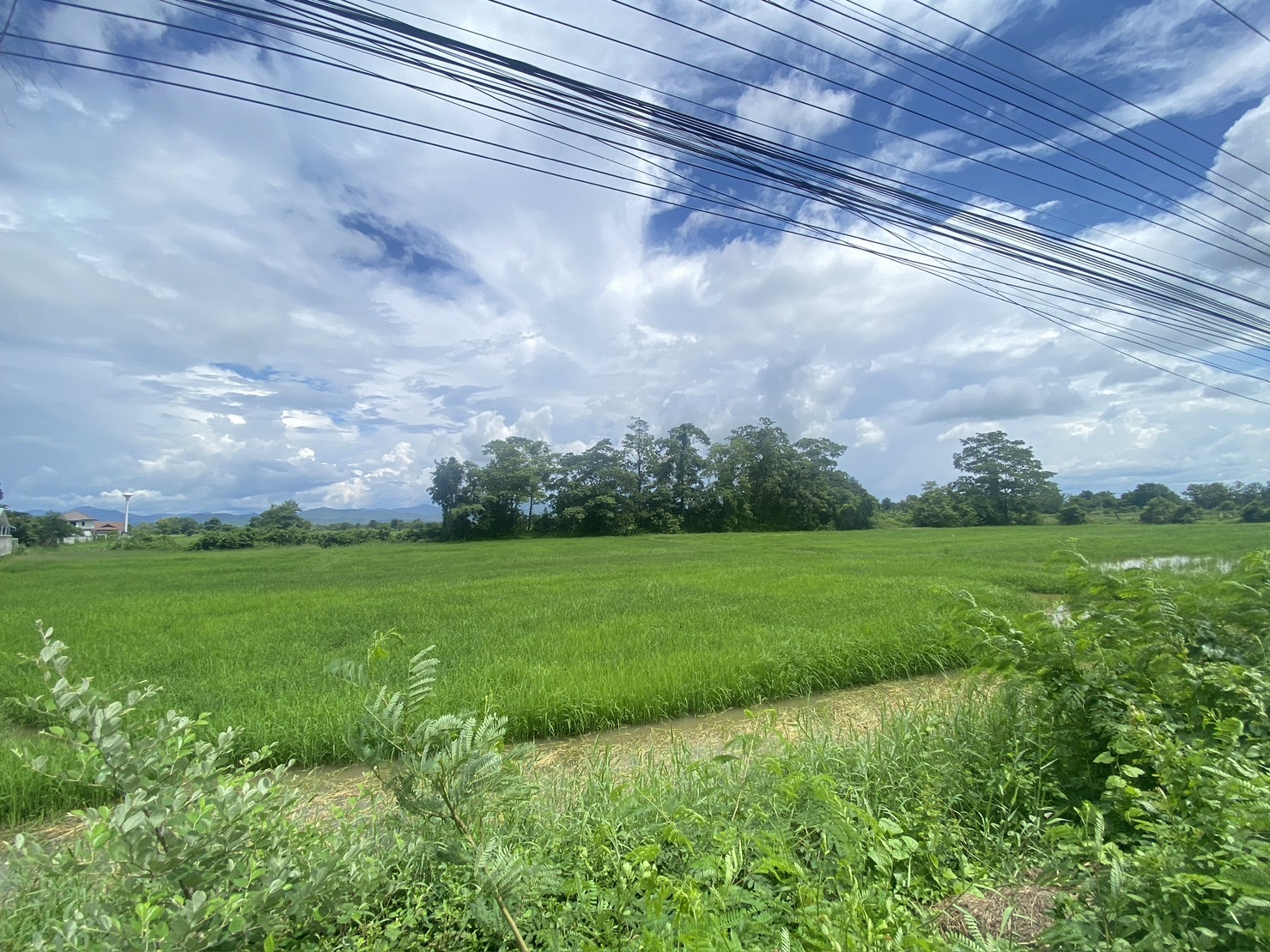 14-3-82 Rai of land for sale near San Kamphaeng-SHG-LS102