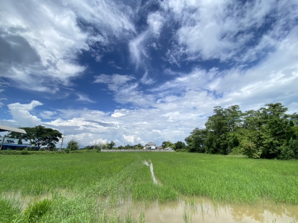 14-3-82 Rai of land for sale near San Kamphaeng-SHG-LS102