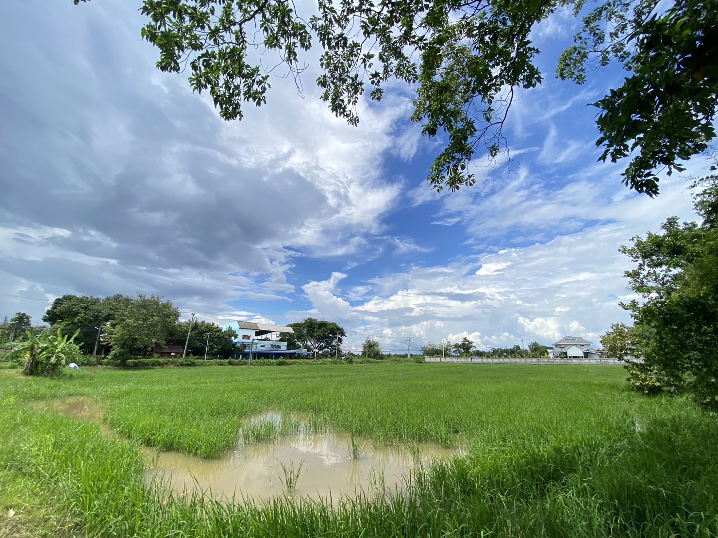 14-3-82 Rai of land for sale near San Kamphaeng-SHG-LS102