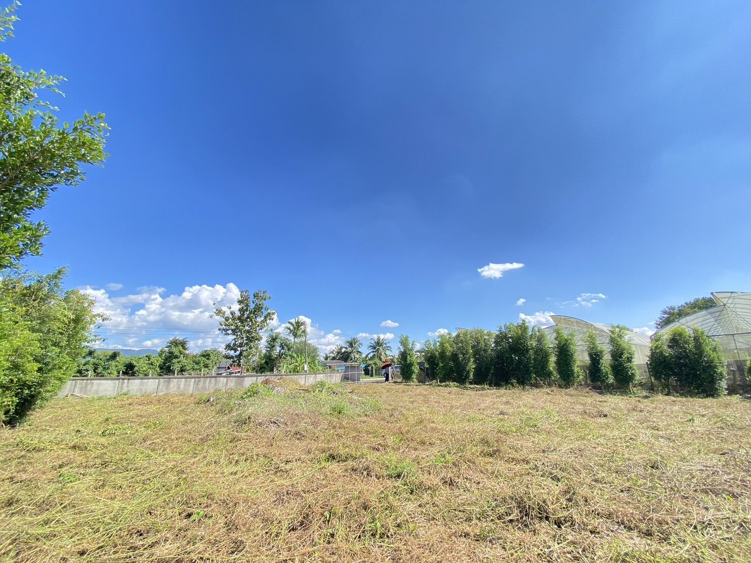 Beautiful 1 Rai plot of land for sale in Mae Faek