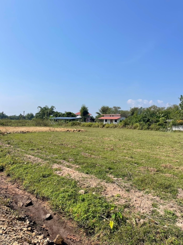 3 Rai of land for sale in San Sai-SHG-LS107