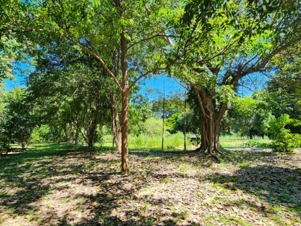 Developed Land For Sale In Hang Dong, Chiang Mai - PC-HD011L