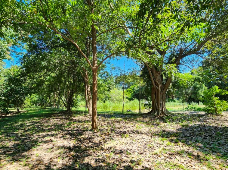 Developed Land For Sale In Hang Dong, Chiang Mai - PC-HD011L