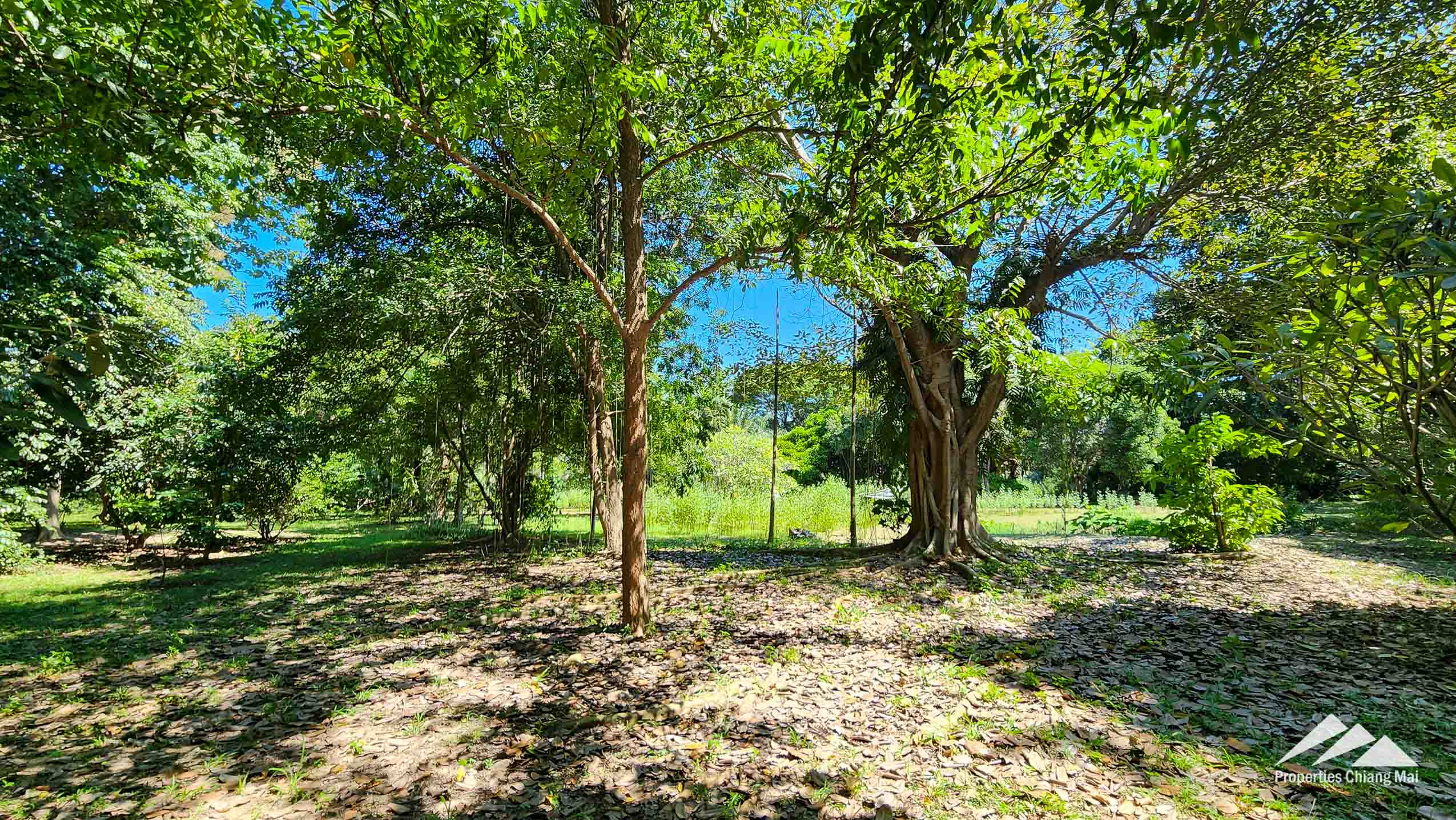 Developed Land For Sale In Hang Dong, Chiang Mai - PC-HD011L