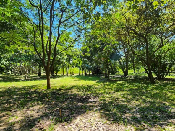 Developed Land For Sale In Hang Dong, Chiang Mai - PC-HD011L