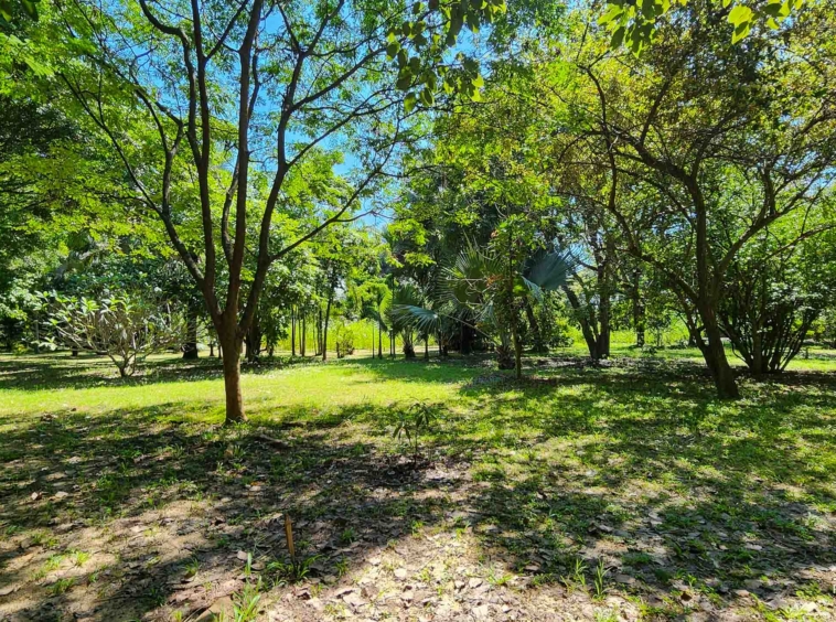 Developed Land For Sale In Hang Dong, Chiang Mai - PC-HD011L