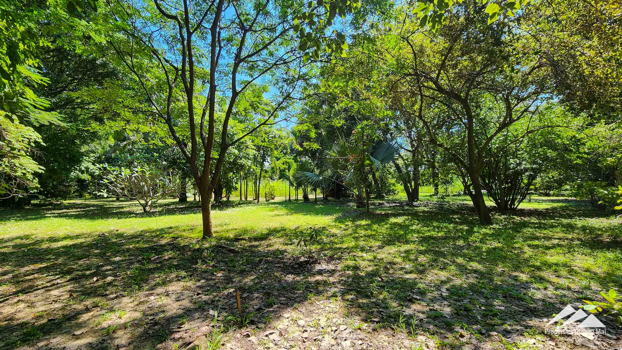 Developed Land For Sale In Hang Dong, Chiang Mai - PC-HD011L