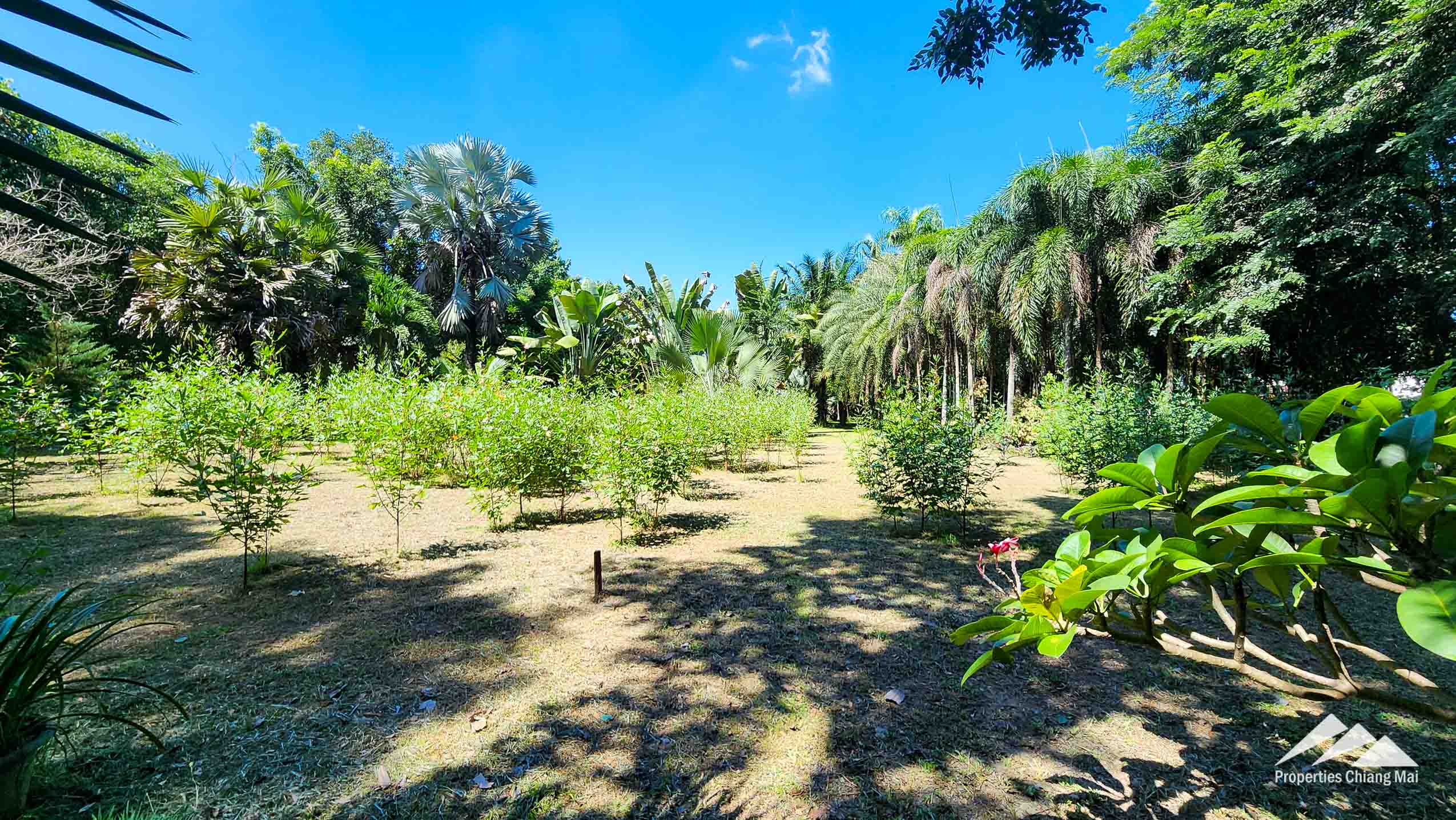 Developed Land For Sale In Hang Dong, Chiang Mai - PC-HD011L