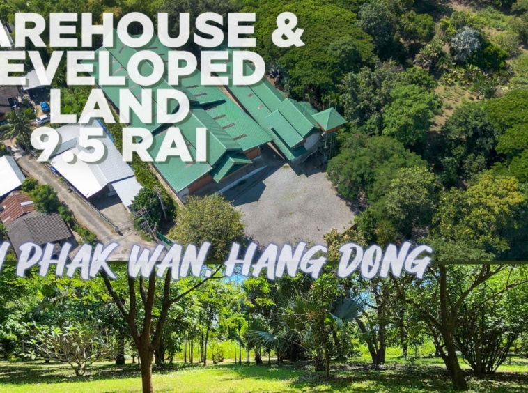 Land and commercial warehouse for sale in Hang Dong, Chiang Mai - PC-HD011WL