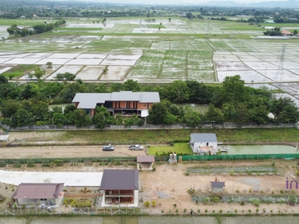 Chiang Mai.-I-4063