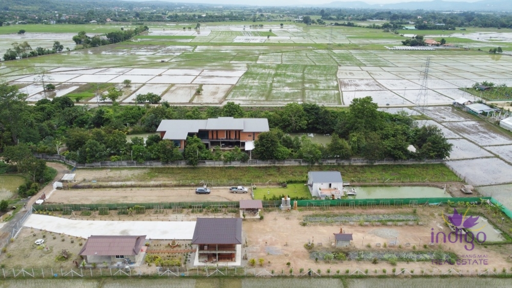 Chiang Mai.-I-4063