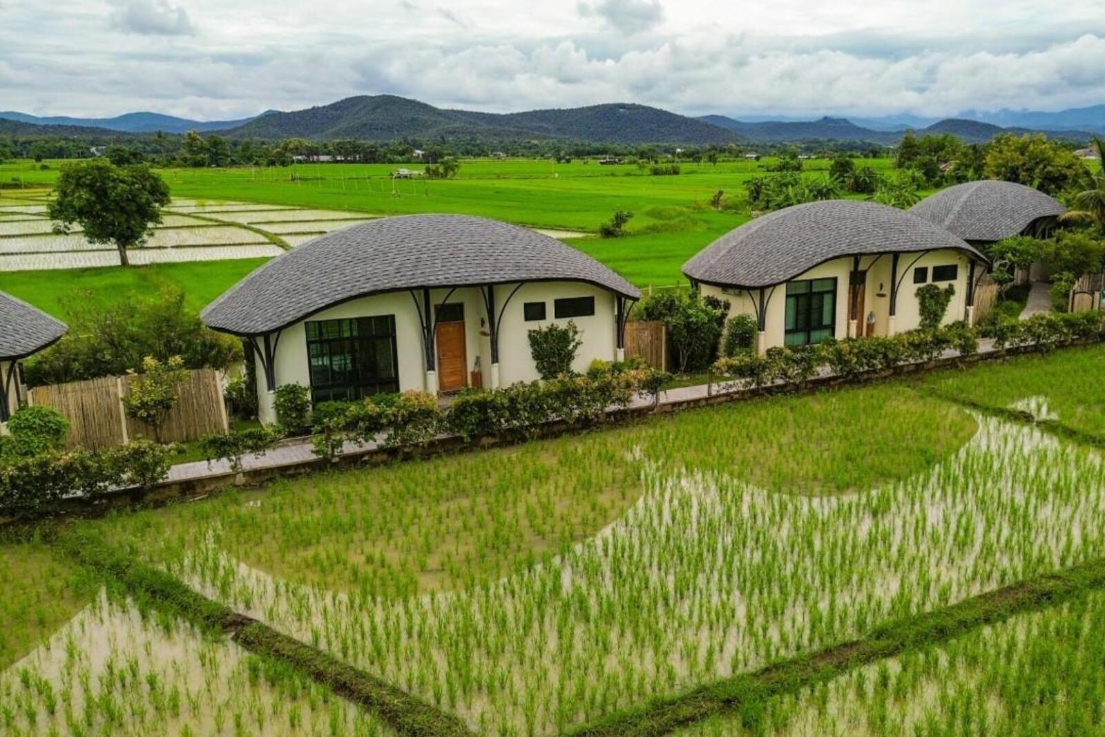 Luxury Resort Estate in Chiang Mai's Doi Saket Rice Paddies-TNP-D1175