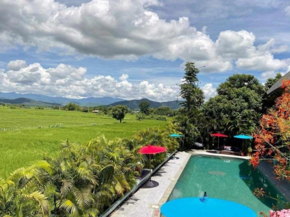 Luxury Resort Estate in Chiang Mai's Doi Saket Rice Paddies-TNP-D1175