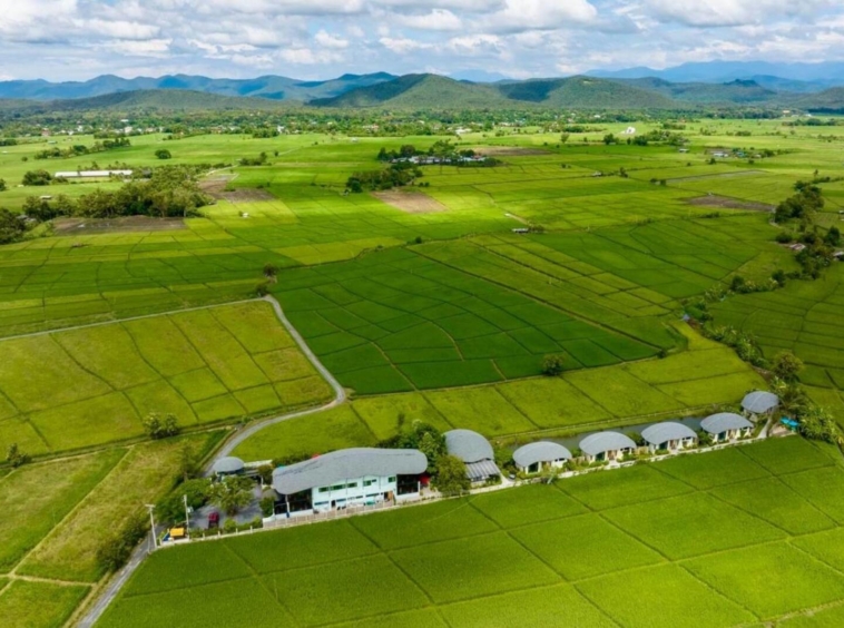 Luxury Resort Estate in Chiang Mai's Doi Saket Rice Paddies-TNP-D1175