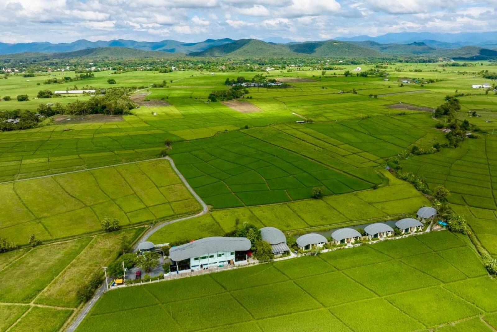 Luxury Resort Estate in Chiang Mai's Doi Saket Rice Paddies-TNP-D1175