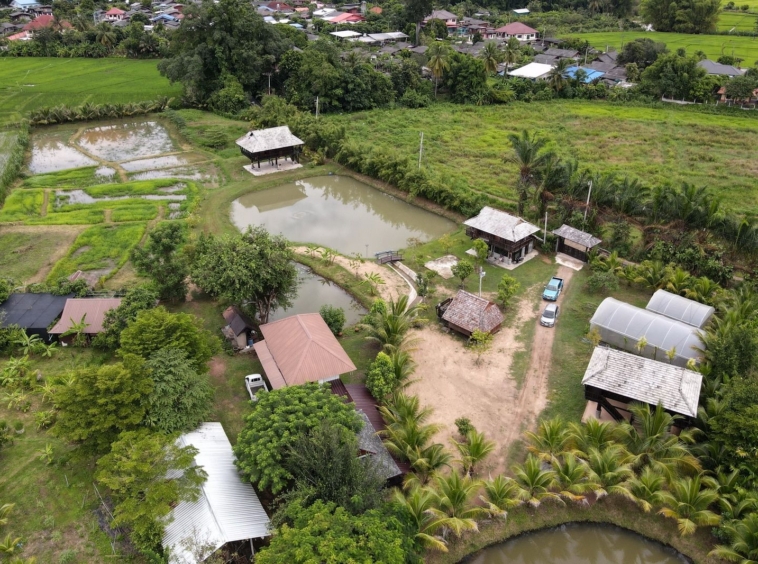 5 House Thai Style Complex in Mae Rim-TNP-D1001