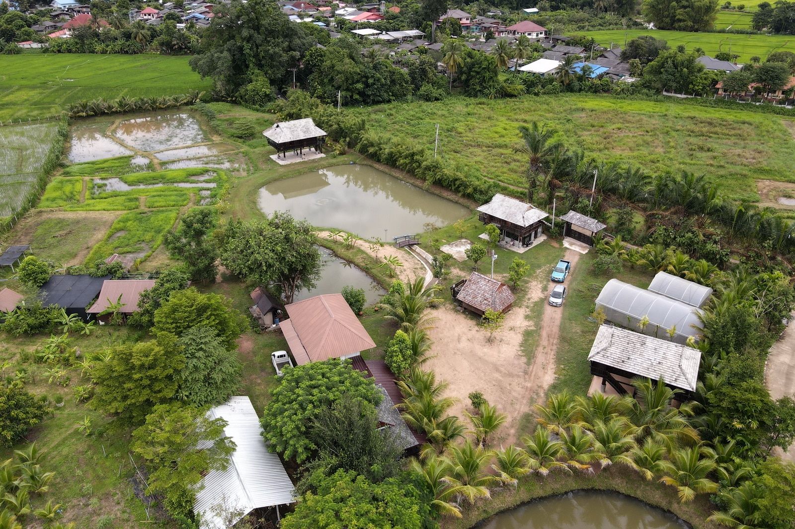 5 House Thai Style Complex in Mae Rim-TNP-D1001