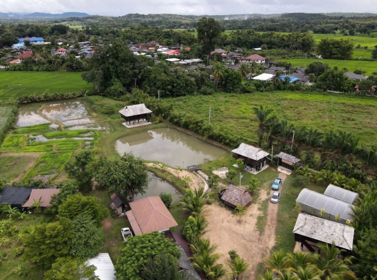 5 House Thai Style Complex in Mae Rim-TNP-D1001