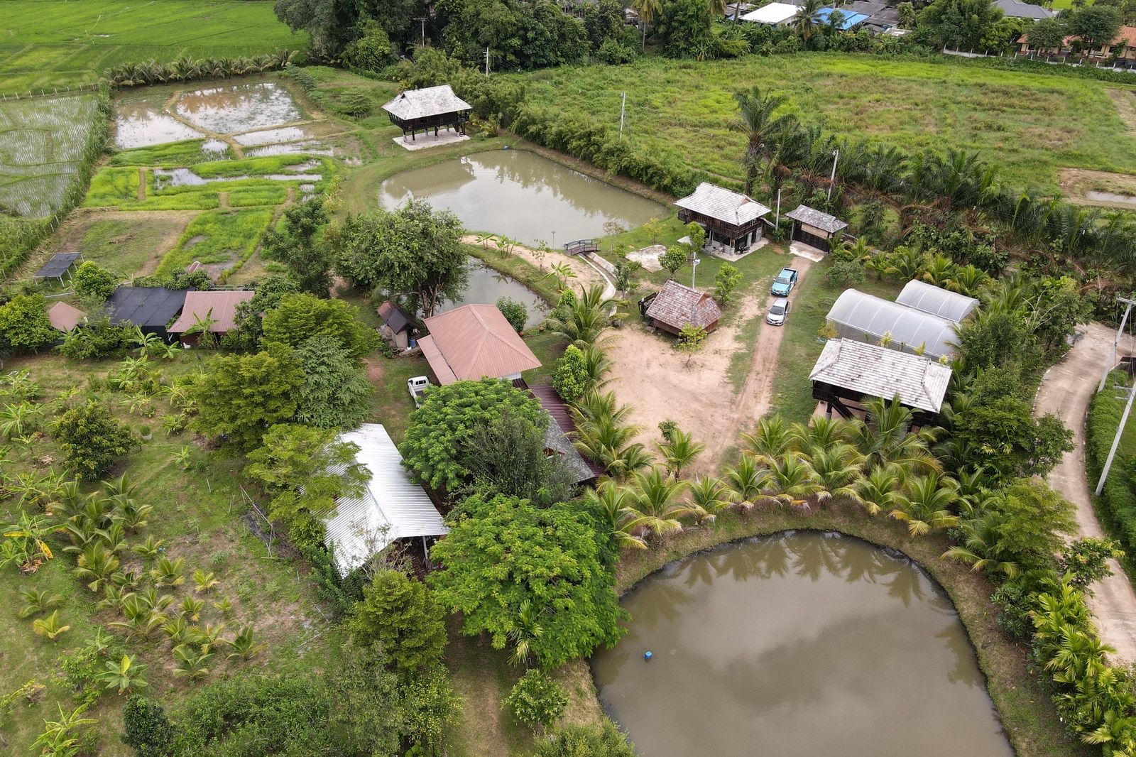 5 House Thai Style Complex in Mae Rim-TNP-D1001