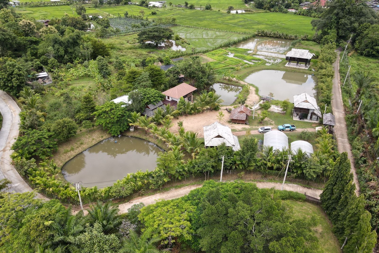 5 House Thai Style Complex in Mae Rim-TNP-D1001