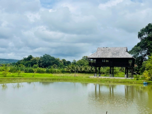 5 House Thai Style Complex in Mae Rim-TNP-D1001