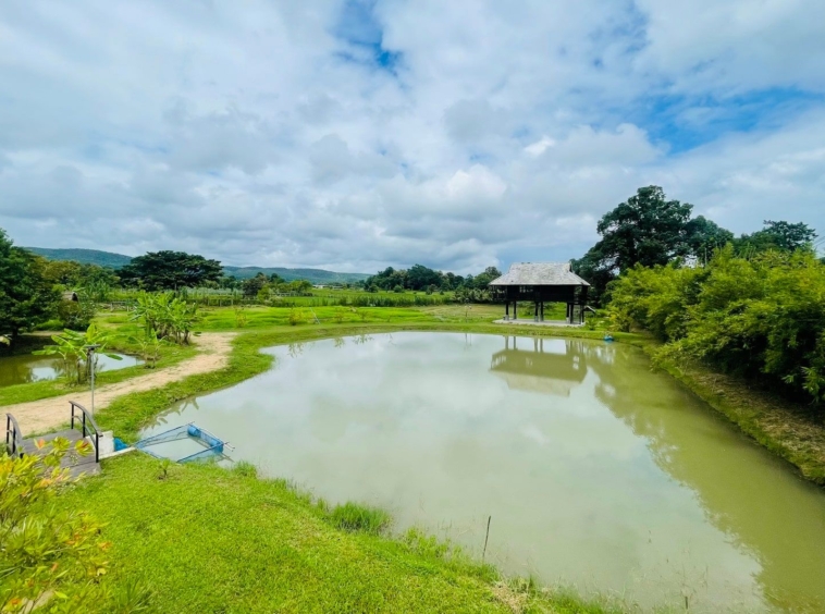 5 House Thai Style Complex in Mae Rim-TNP-D1001