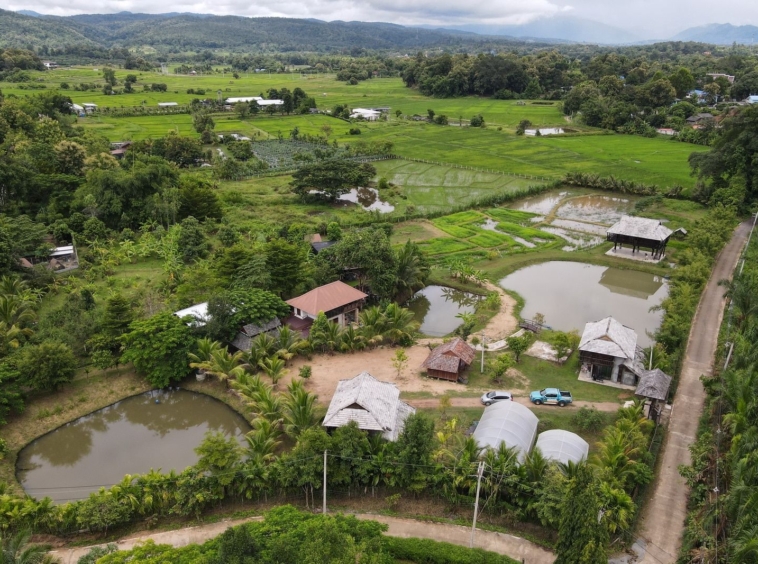 5 House Thai Style Complex in Mae Rim-TNP-D1001