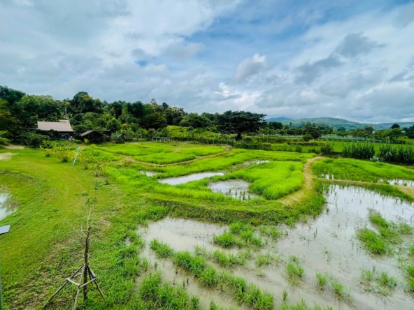 5 House Thai Style Complex in Mae Rim-TNP-D1001