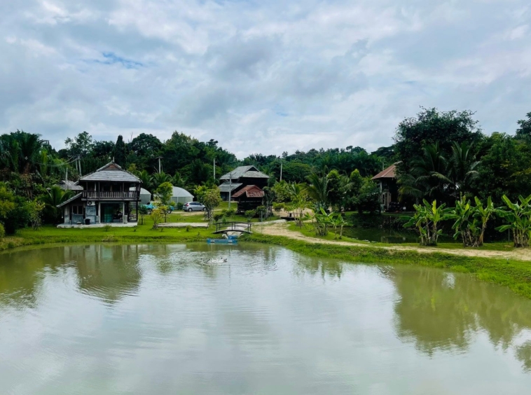 5 House Thai Style Complex in Mae Rim-TNP-D1001