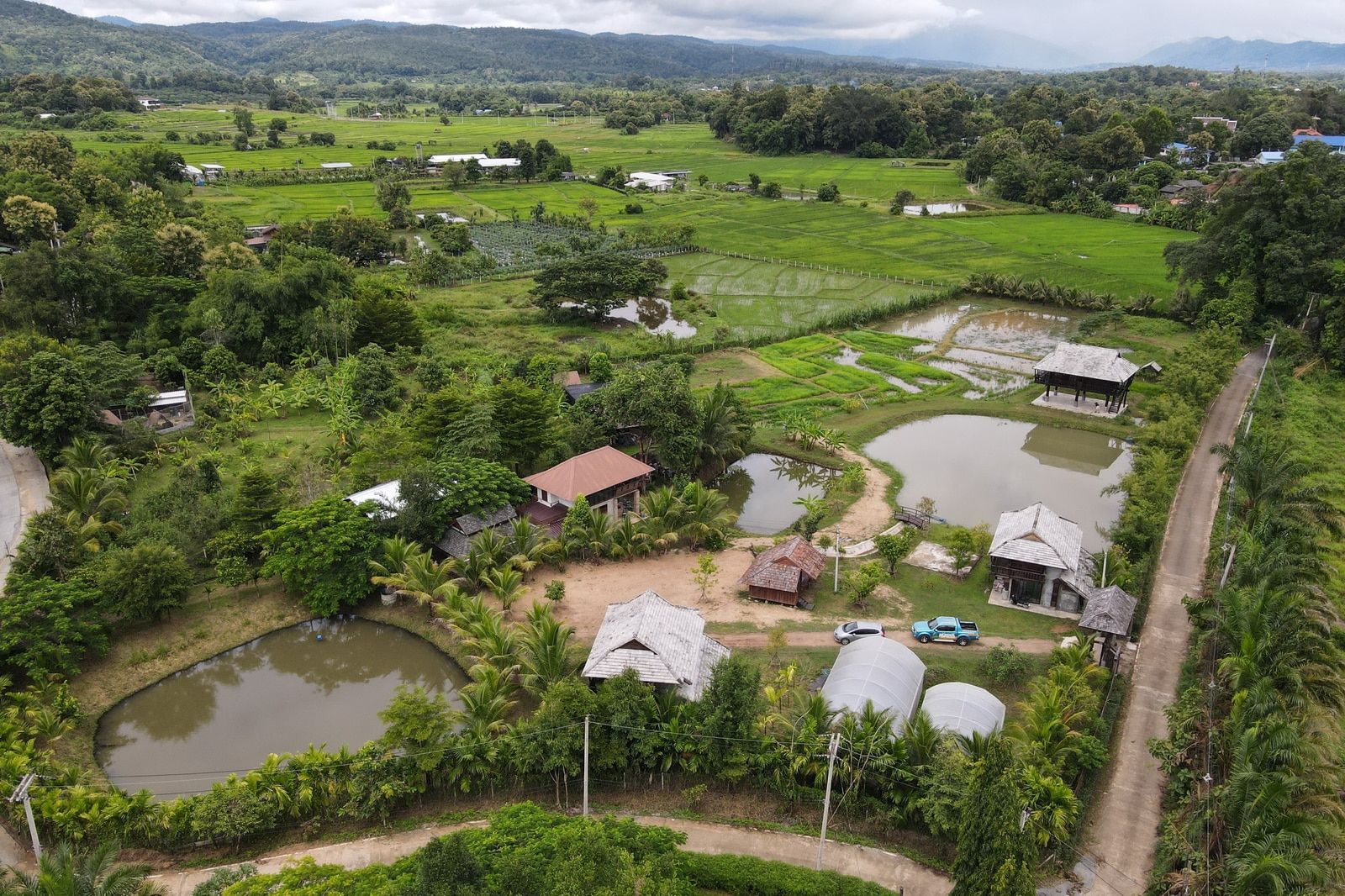 5 House Thai Style Complex in Mae Rim-TNP-D1001