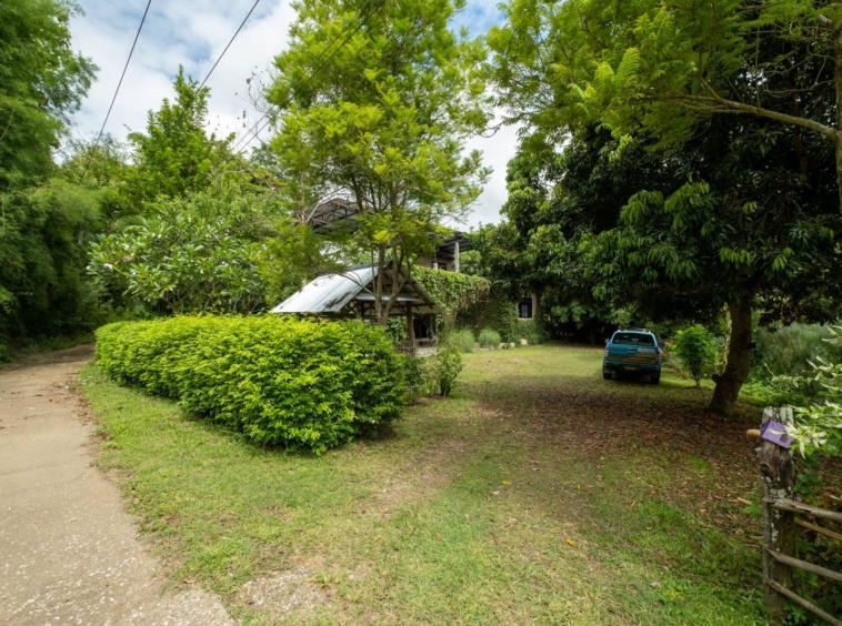 Gallery or Small Home in Mae Rim-TNP-D996