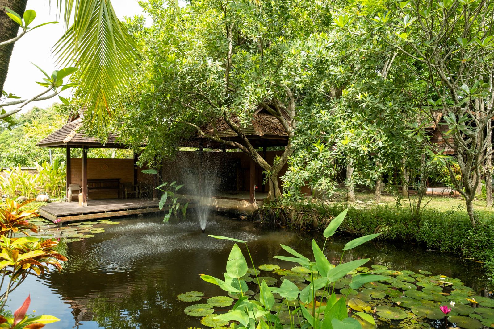 Lanna and Traditional House Complex in San Pa Tong-TNP-D1057