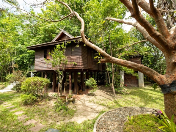 Lanna and Traditional House Complex in San Pa Tong-TNP-D1057