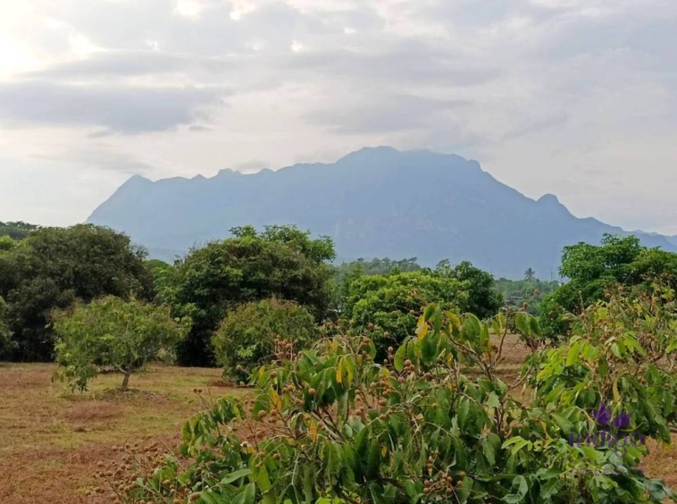 Chiang Dao