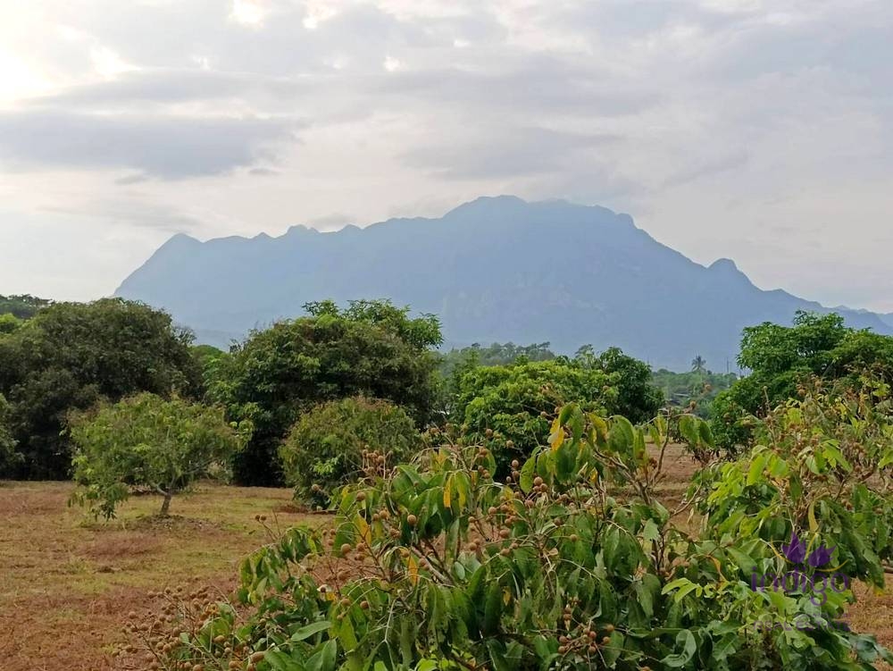 Chiang Dao