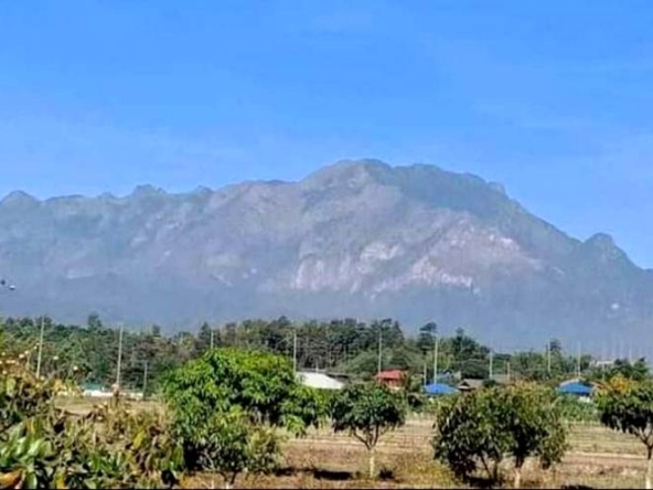 Land for sale 6 Rai 3 Ngan 18 Sqw Doi Luang Chiang Dao view