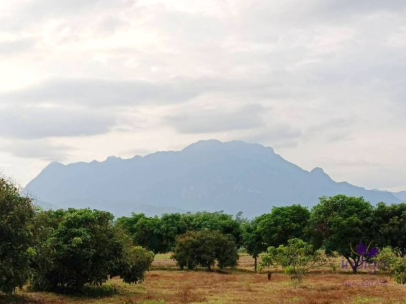 Chiang Dao