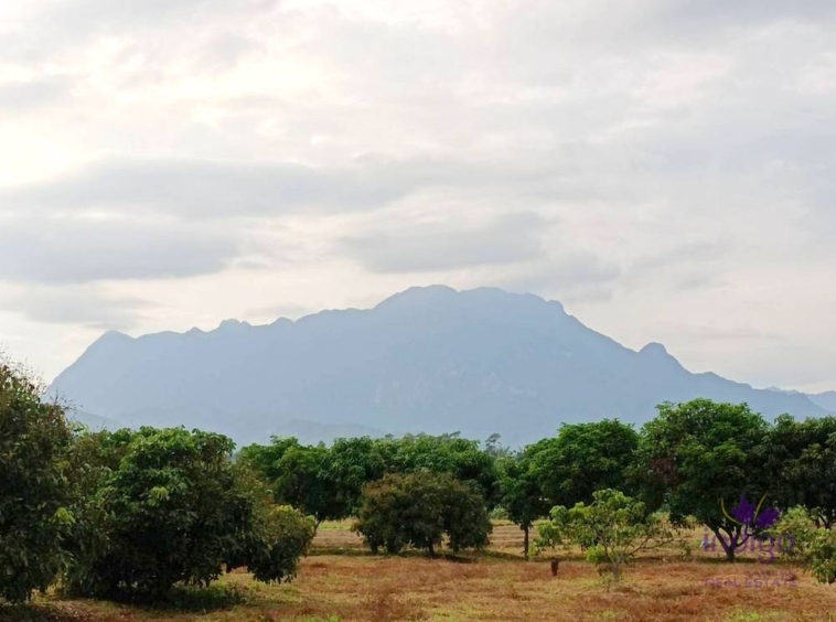 Chiang Dao