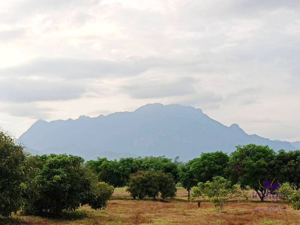 Chiang Dao