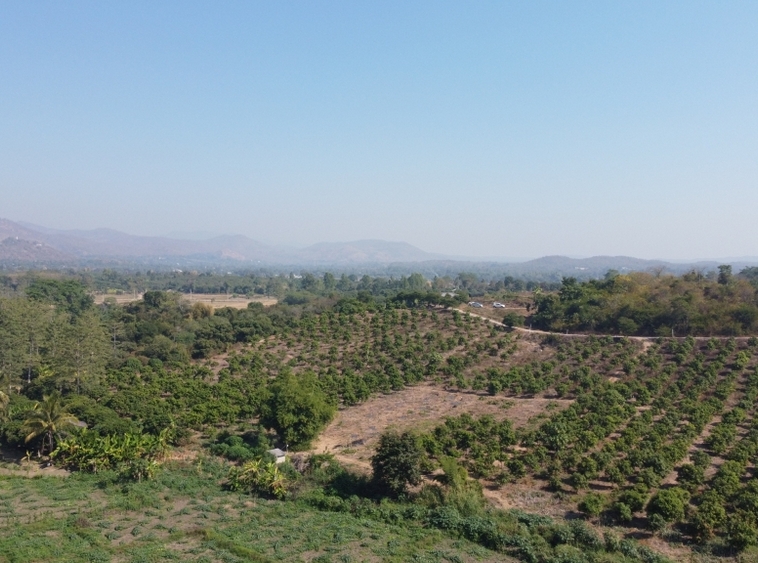 Land For Sale 200 Rai at Doi Inthanon Chiang Mai-I-3461