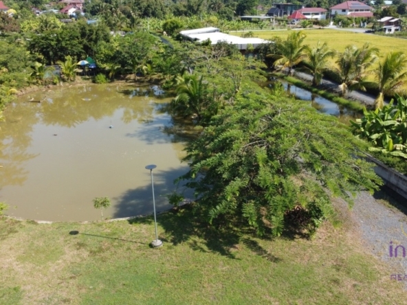 fish pond and rice field. Water and electricity ready in Doi Saket countryside