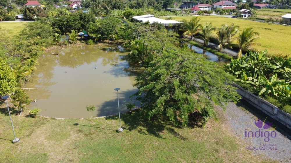 fish pond and rice field. Water and electricity ready in Doi Saket countryside