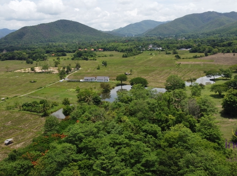 peaceful area only 30 min from Chiang Mai city.-I-3979