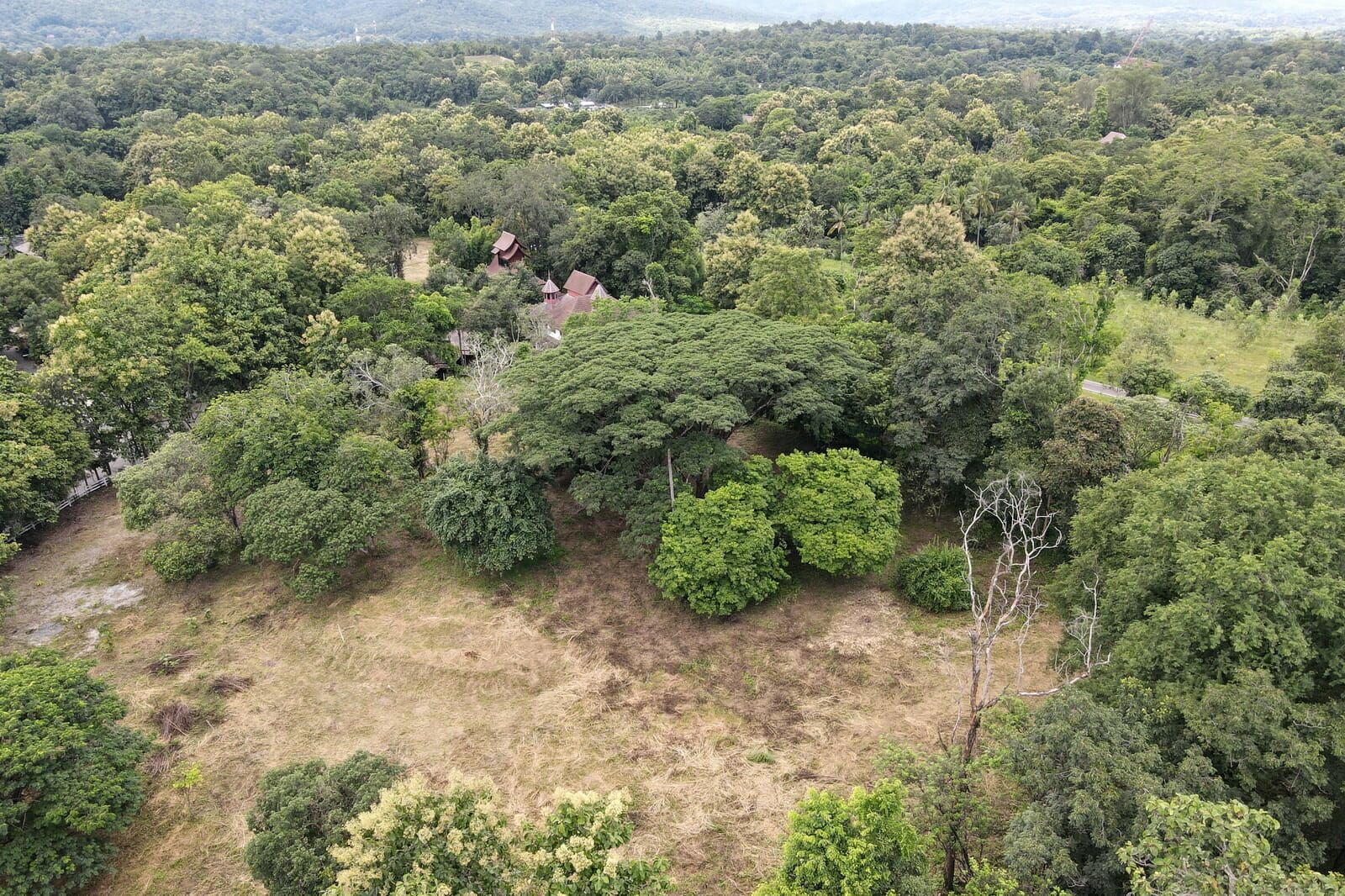 10.5 Rai of Land near Four Seasons in Mae Rim-TNP-L142