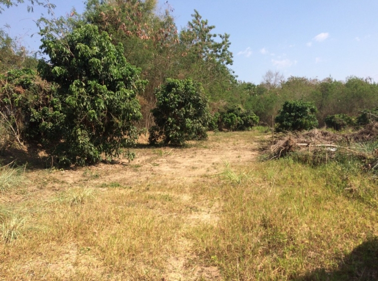 Land For Sale 2 Rai Namprae Hangdong Chiangmai-I-3096